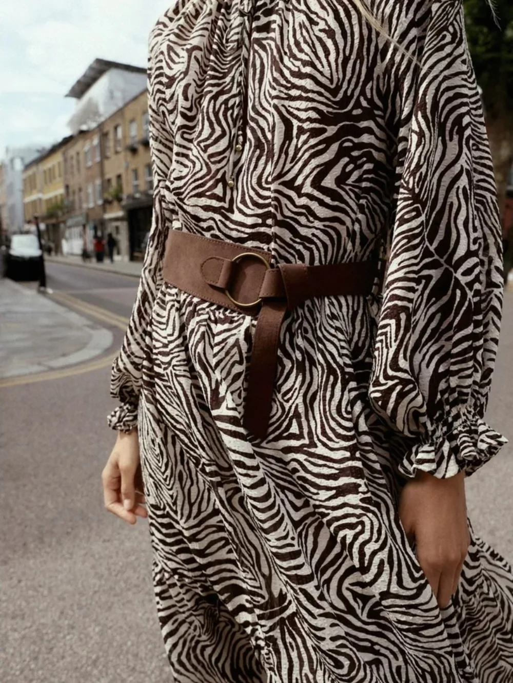Zara Zebra-Print Maxi Dress in Cream & Black - Picture 5 of 8